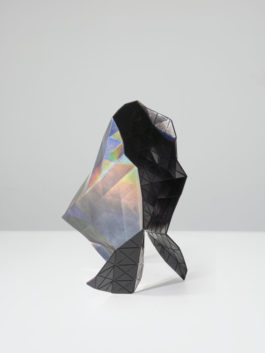 Espectro visible (objeto X)